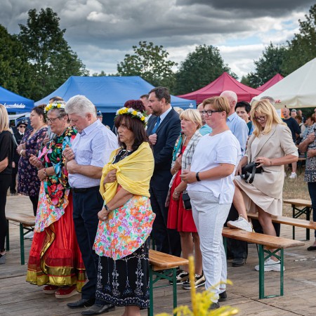 Wyświetl org. rozmiar