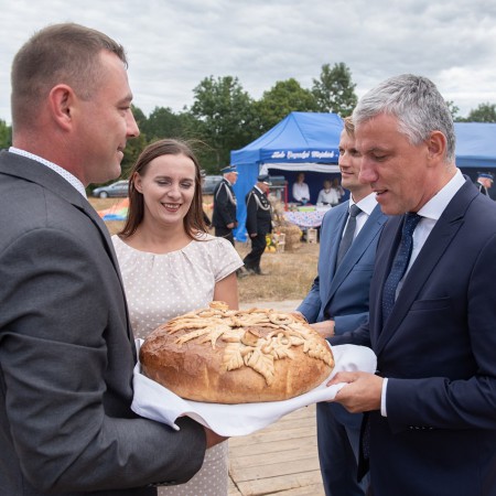 Wyświetl org. rozmiar