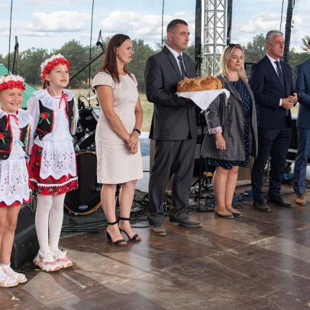 Wyświetl org. rozmiar