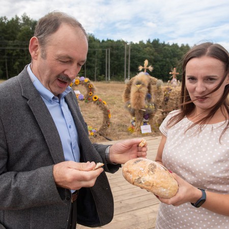 Wyświetl org. rozmiar