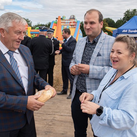 Wyświetl org. rozmiar
