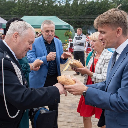 Wyświetl org. rozmiar