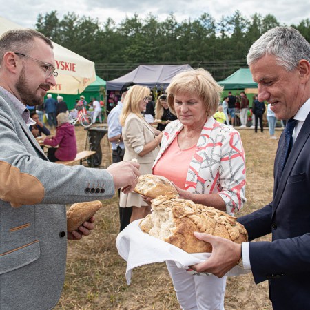 Wyświetl org. rozmiar