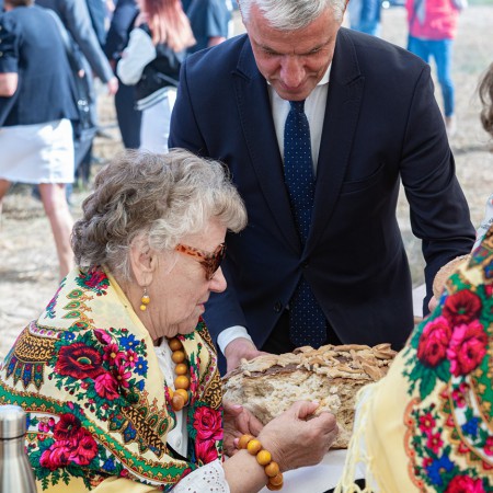 Wyświetl org. rozmiar
