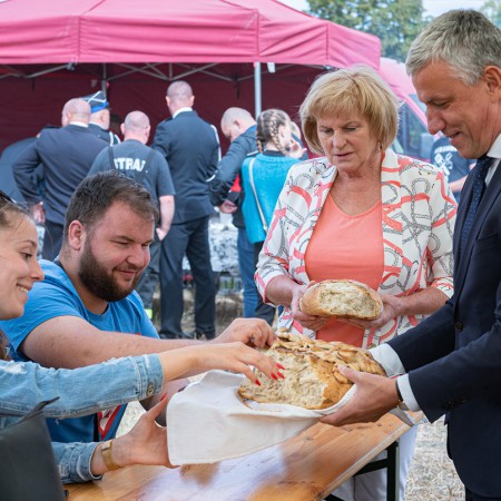 Wyświetl org. rozmiar