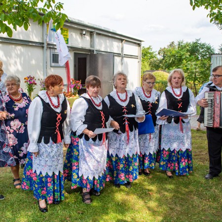 Wyświetl org. rozmiar