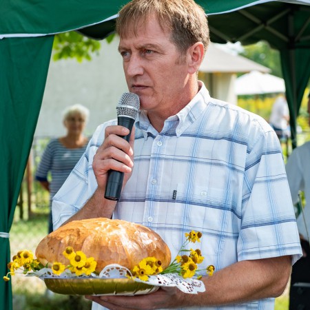 Wyświetl org. rozmiar