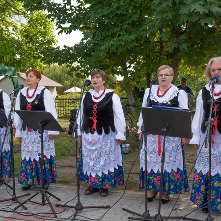 Wyświetl org. rozmiar