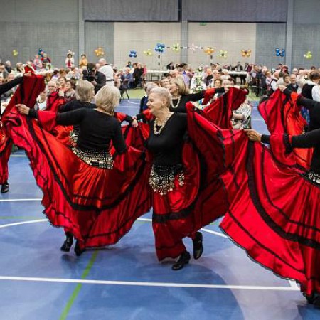 Wyświetl org. rozmiar