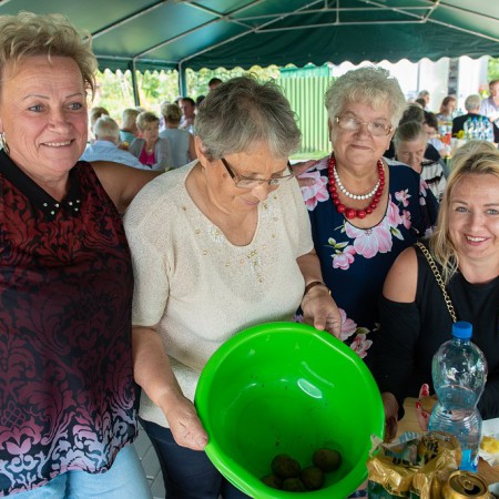 Wyświetl org. rozmiar
