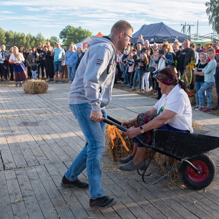 Wyświetl org. rozmiar