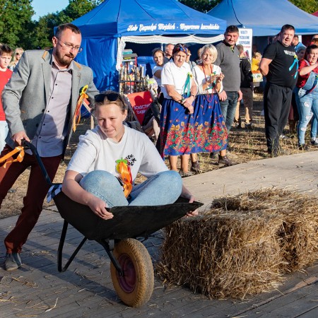 Wyświetl org. rozmiar