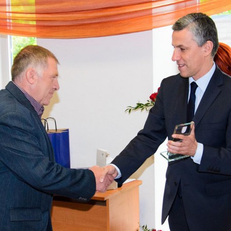 Wyświetl org. rozmiar
