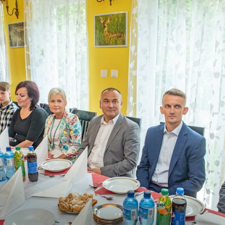 Wyświetl org. rozmiar