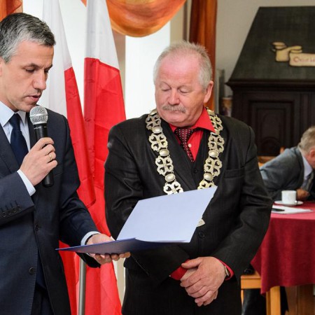 Wyświetl org. rozmiar