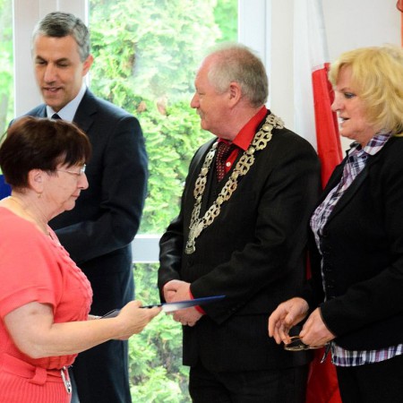 Wyświetl org. rozmiar