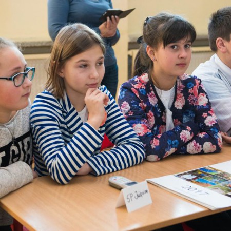 Wyświetl org. rozmiar