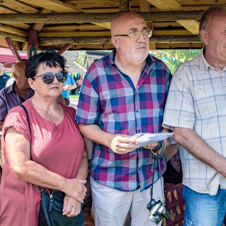Wyświetl org. rozmiar