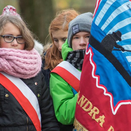 Wyświetl org. rozmiar
