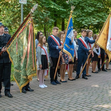 Wyświetl org. rozmiar