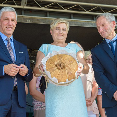 Wyświetl org. rozmiar