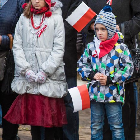 Wyświetl org. rozmiar