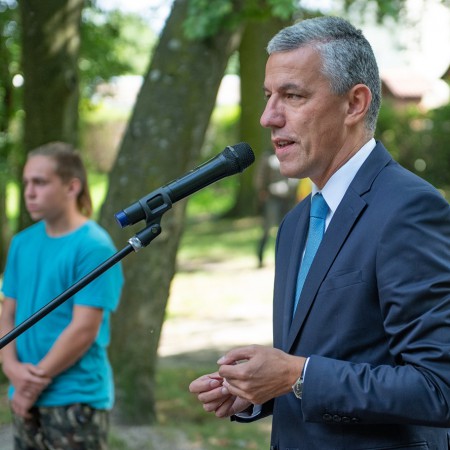 Wyświetl org. rozmiar