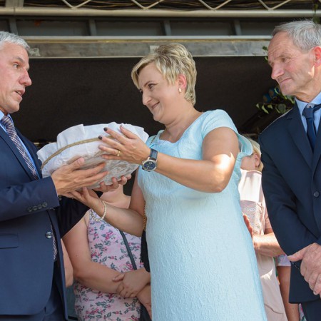 Wyświetl org. rozmiar