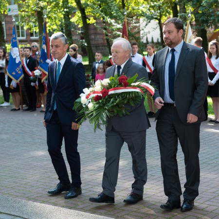 Wyświetl org. rozmiar
