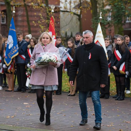 Wyświetl org. rozmiar