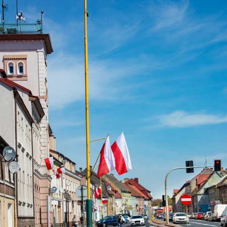 Wyświetl org. rozmiar