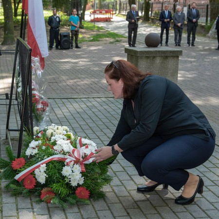 Wyświetl org. rozmiar