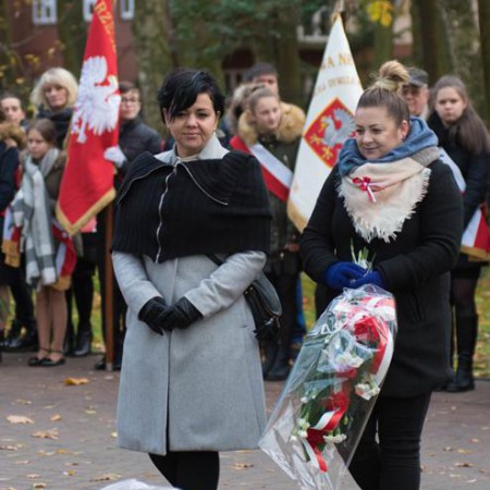 Wyświetl org. rozmiar