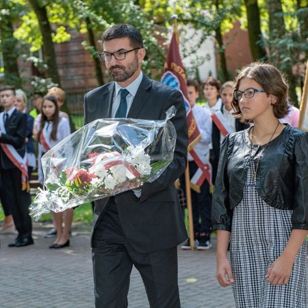 Wyświetl org. rozmiar