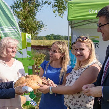 Wyświetl org. rozmiar