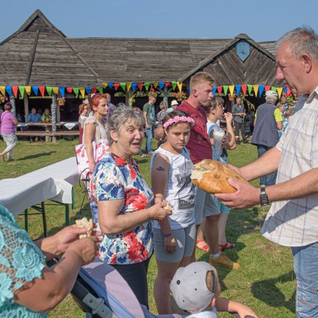 Wyświetl org. rozmiar