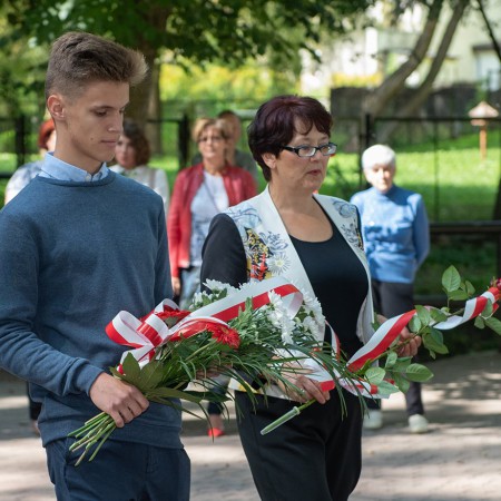 Wyświetl org. rozmiar