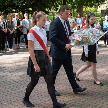 Wyświetl org. rozmiar