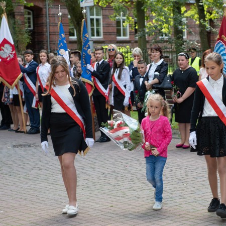 Wyświetl org. rozmiar