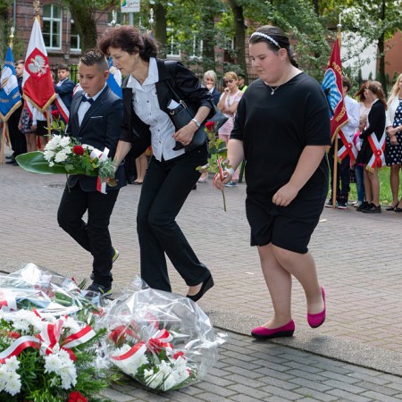 Wyświetl org. rozmiar