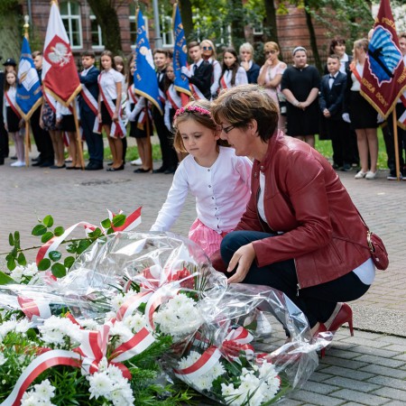 Wyświetl org. rozmiar