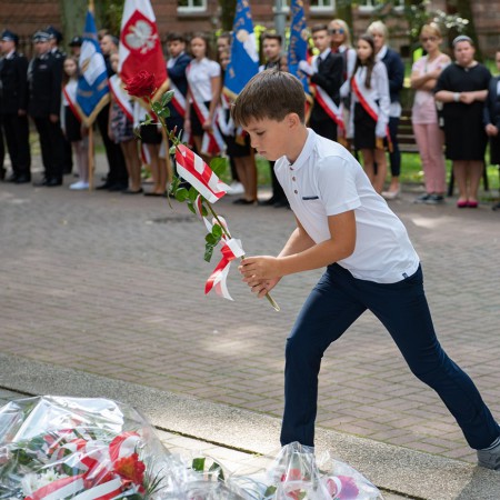 Wyświetl org. rozmiar