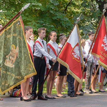 Wyświetl org. rozmiar