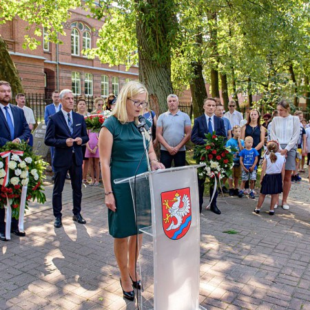 Wyświetl org. rozmiar