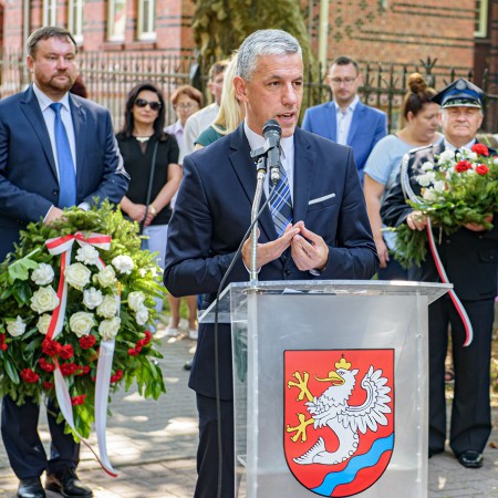 Wyświetl org. rozmiar