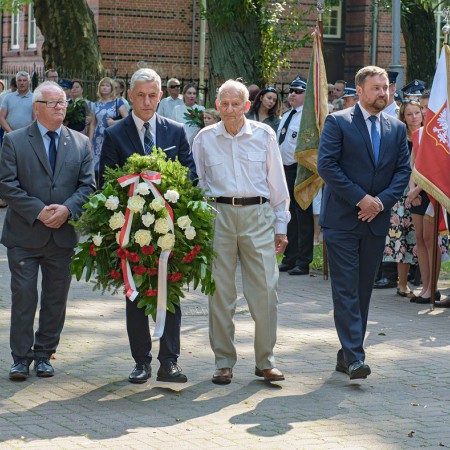 Wyświetl org. rozmiar