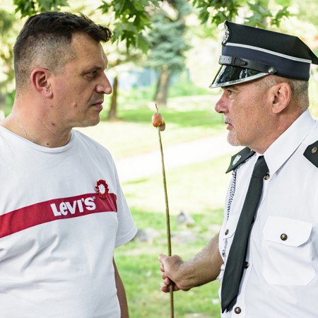 Wyświetl org. rozmiar