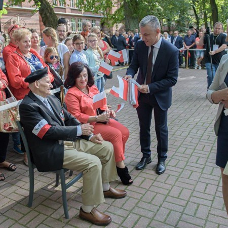 Wyświetl org. rozmiar