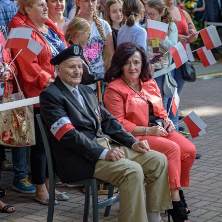 Wyświetl org. rozmiar