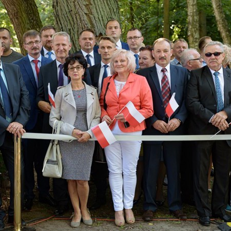 Wyświetl org. rozmiar